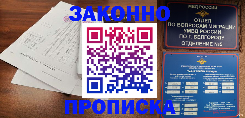 прописка в Шахунье